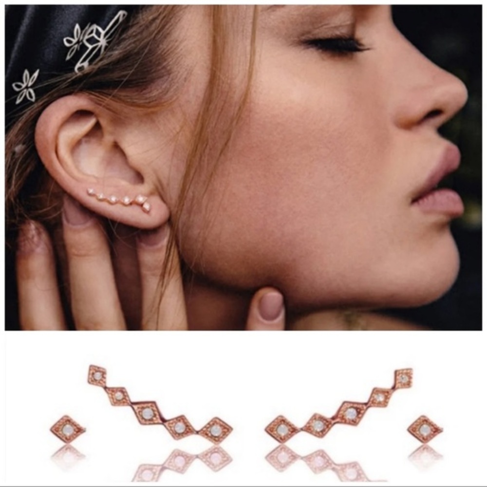 LUV AJ earrings